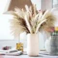 Natural dried pampas grass bouquet with bunny tails and reed details for home decor. - HS27