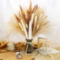 Natural dried pampas grass bouquet DIY floral arrangement for home decor, wedding and room styling. - HS157