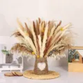 Dried pampas grass bouquet with woven vase home decor mixed colors variant style - HS158