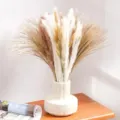 Φυσικό αποξηραμένο pampas grass μπουκέτο αφράτα άνθη καλάμι για διακόσμηση σπιτιού - HS39