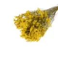 Kitrino apoxirameno mpouketo me crystal grass gia diakosmisi kai dora spitiou sou. - 120g/Δέσμη / Κίτρινο