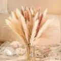 Natural dried pampas grass bouquet with glass vase for home room party wedding decoration - HS13