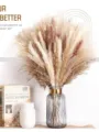 Natural dried pampas grass bouquet and bunny tails floral arrangement for chic home decor - HS145