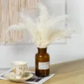 Φυσικό λευκό αποsηραμένο pampas grass μπουκέτο για διακόσμηση σπιτιού και λουλούδια. - Λευκό Καλάμι 5 Στελέχη