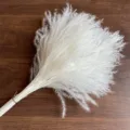 Φυσικό λευκό αποξηραμένο μπουκέτο pampas grass αφράτα άνθη καλαμιού για διακόσμηση σπιτιού. - Λευκό Μικρό Ξεσπορότυπο 15 Τμχ