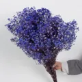 Blauwe gedroogde gipskruid bloemboeket geconserveerd voor cadeaus huisdecoratie. - Kleine vervangende handvatten / Saffierblauw