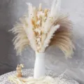 Dried pampas grass bouquet white vase set fluffy natural floral arrangement home decor - White Porcelain Vase Dried Flower Set (HS75)
