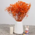 Διατηρημένα αποξηραμένα λουλούδια γυψοφύλη πορτοκαλί με λευκό κεραμικό βάζο διακόσμηση - Μικρό Ματσάκι 100g / Πορτοκαλί