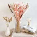 Dried pampas grass bouquet bunny tails natural floral arrangement for home decor wedding gift - HS17