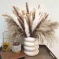Dried pampas grass bunny tail bouquet with white ceramic vase for home decor variant. - HS29
