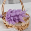Μωβ αποξηραμένο γρασίδι ουράς κουνελιού σε ψάθινο καλάθι για διακόσμηση σπιτιού και ανθοπωλεία. - Σκούρο μοβ λαγούρος (ουρά λαγού), 60 στελέχη