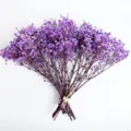 Mini dried baby's breath flower bouquet for home decoration photography props wedding gifts. - 25-30cm / Purple