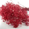 Red dried baby's breath flowers bouquet for home decor and DIY floral arrangements. - Red 1 Small Bundle