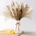 Dried pampas grass bouquet with white ceramic vase, natural fluffy floral home decor set. - Pampas Grass Flower Bouquet Set (HS79)