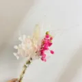 Closeup detail of dried preserved flower bouquet with small pink and white blooms for decor. - XH36