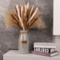Natural pampas grass dried flowers bouquet with ceramic vase for home decor boho style. - HS95