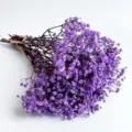 Mini purple dried gypsophila flower bouquet, natural baby's breath for home decor and props. - Purple 1 Small Bundle