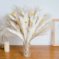 Natural dried pampas grass bouquet with rabbit tails and billy buttons for home decor vase. - Selected Dried Flower Combination (HS80)