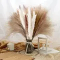 Fluffy dried pampas grass bouquet with natural reed and grass for home decor arrangement - HS98