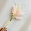 Mini dried flower bouquet detail, pink bunny tails grass for car gift box decor style. - XH45