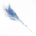 Hermoso ramo de flores de estática seca azul para decoración interior del hogar y regalos. - Azul Blanqueado Preservado 100-120g
