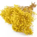 Yellow mini dried baby breath flowers bouquet for home decor floral arrangement styling. - Yellow 1 Small Bundle
