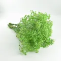 Mini dried baby's breath bouquet in green, perfect for home decor, wedding and photography props. - Green 1 Small Bundle
