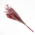 Ramo de flores secas rojas para decoracion del hogar, hermoso regalo y arreglo floral. - Rojo Preservado 100-120g