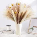 Natural dried pampas grass bouquet with bunny tails and yellow billy balls for decor. - HS08