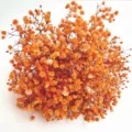 Mini orange dried baby breath flower bouquet for home decor and gift box wedding display - Orange Small Bouquet