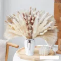 Dried flower bouquet with white pampas grass and rabbit tail reed for wedding home decor. - HS21