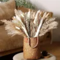 Natural dried pampas grass bouquet with woven basket for cozy home floral decor - HS103