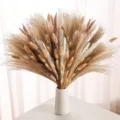 Dried pampas grass bouquet with bunny tails and reed flowers in white vase for home decor. - HS22