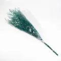 Mazzo di fiori secchi verdi statice composizione floreale decorazione casa regalo - Blu Verde Conservato 100-120g