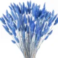 Blue dried bunny tail grass bouquet for home decoration, floral arrangement and photography props. - Sky Blue