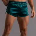 Men's silk satin boxer shorts comfortable sleeping lounge shorts short athletic pants - S / Dark Green