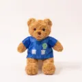 Detailed view of a cute teddy bear plush toy wearing a custom football jersey with logo. - Nanjing Bear