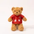Plush teddy bear wearing red football jersey with custom city text, cute fan gift toy. - Yancheng Bear