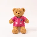 Detailed shot of a cute plush teddy bear wearing a pink football jersey with custom text. - Zhenjiang Bear