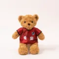 Cute brown teddy bear plush toy wearing a red football jersey with custom text and club crest detail. - Huai'an Bear