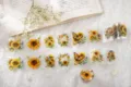 Zonnebloem PET tape set voor journaling, scrapbooking en decoratieve knutselprojecten. - Zonnebloem Zee