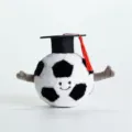 Primo piano dettagliato di simpatico pallone da calcio in peluche con berretto e braccia. - Calcio