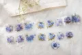 Blue rose PET washi tape set for journaling and scrapbooking decor 8 styles variant. - Ice Blue Rose