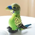 Plush parakeet toy, realistic green budgie stuffed animal for kids and gift decoration. - Green-Yellow Parrot / 20x20cm