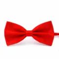 Klassische hellrote Fliege für Herren, elegantes Satin-Stoff formelle Halsbekleidung. - Rote Fliege (RS9419-13)