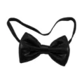 Vue de détail d'un nœud papillon noir brillant avec bande élastique pour accessoires. - Nœud Papillon (17CR9065BK)