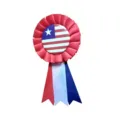Rood-wit-blauwe lint rozet badge met vlagpatroon voor nationale feestdag feestdecoratie - Medaille