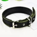 Durable black and green nylon dog collar with metal buckle and D-ring for daily pet walking. - Size 1 (Recommended for 3-8 lbs) / Black