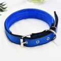 Blue pet dog collar with foam padding, durable nylon strap and metal buckle for daily walking. - Size 1 (Recommended for 3-8 lbs) / Blue
