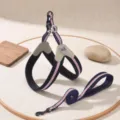 Detailed shot of pet harness and leash set showing sturdy metal clasp and durable nylon weave. - Navy Blue